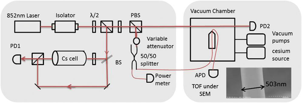 A schematic of the experimental setup. The left side of the diagram is the optical system, and the right side is the TOF system. Photodiode detectors PD1 and PD2 are used to record the reference signal of the saturated absorption spectrum and the free-space beam respectively. The APD is used for the TOF signal. The image of the tapered nanofiber under the scanning electron microscope is also shown in the diagram. PD, photodiode; APD, avalanche photodiode; PBS, polarization beam splitter; BS, beam splitter; λ/2, half-wave plate.