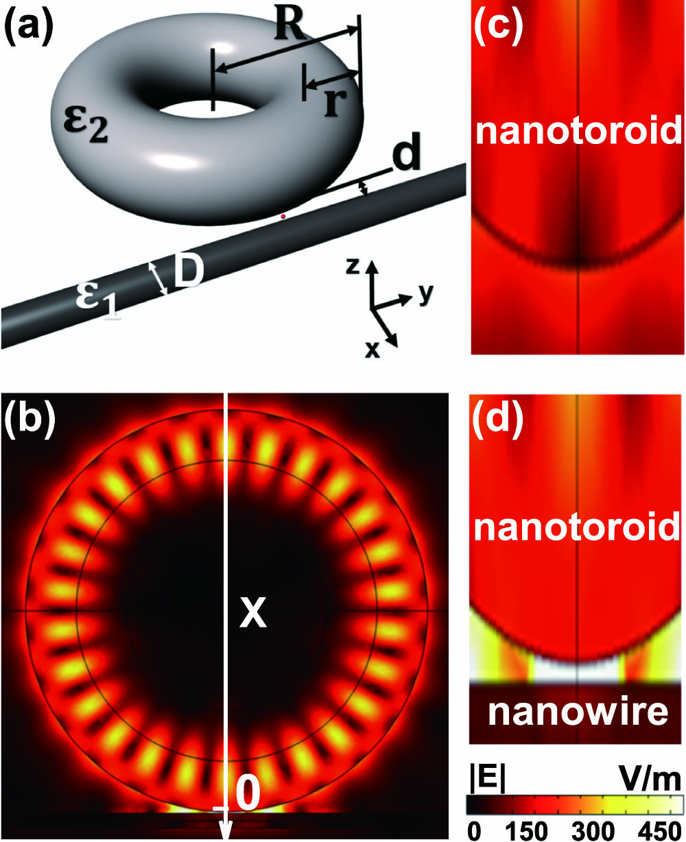 Nanotoroid–nanowire system. (a) Schematic diagram of a dielectric nanotoroid close to a dielectric nanowire. (b) Electric field distribution of the nanostructure. Details of electric field distributions of the same size nanotoroid (c) without and (d) with nanowire with parameters R=500 nm, r=170 nm, d=5 nm, ϵ1=12, ϵ2=5, D=100 nm, and working wavelength λ=524.693 nm.
