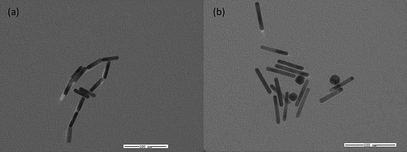 TEM images of the (a) GNR-5 and (b) GNR-8.