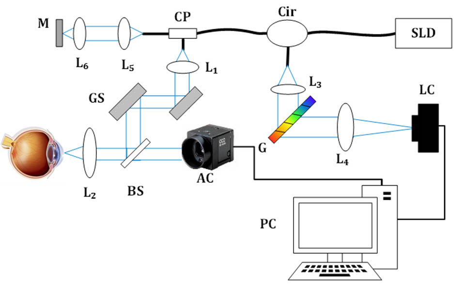 Schematic of SD-OCT system. SLD, superluminescent diode; Cir, circulator; CP, coupler; GS, galvo scanner; BS, beam splitter; AC, area scan CCD; LC, line scan CCD; L1–6, lens; M, mirror; G, grating.
