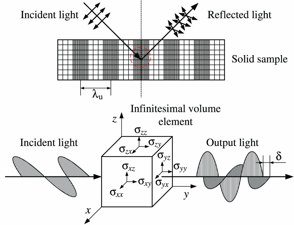 Schematic diagram of a change in polarization status of light through a solid sample in which an ultrasonic wave propagates. Under the influence of the ultrasonic wave (wavelength λu) propagation, the solid is compressed and rarified depending on location and time, which produces nonuniform stress and strain fields. This leads to an anisotropic distribution of the refractive index and produces a phase difference δ of light through the 3D infinitesimal volume element. The phase difference can be detected by our PIMI system.