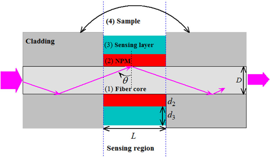 Configuration of optical fiber SPR sensors.