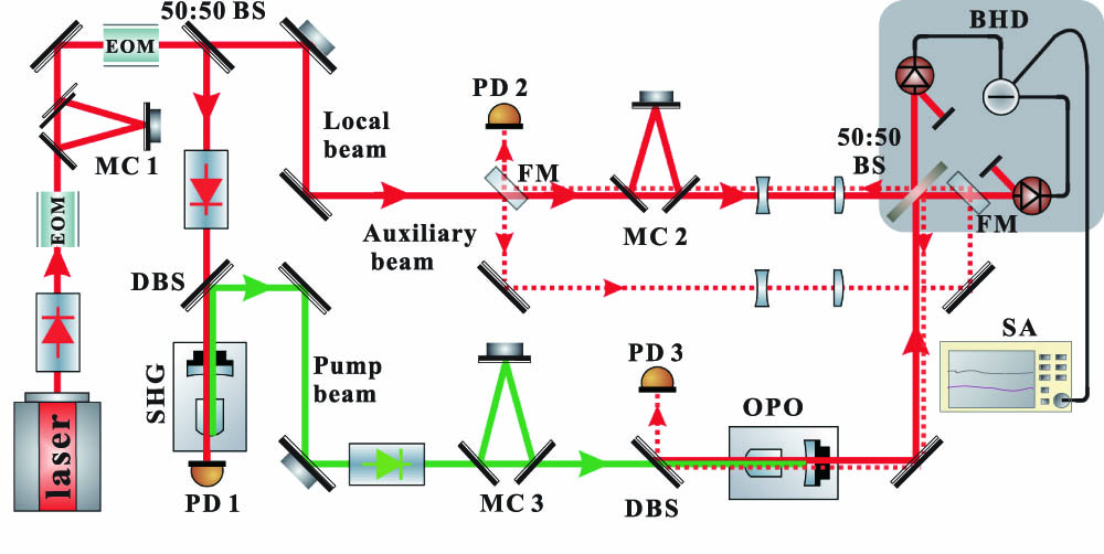 Schematic of the experiment setup. Laser, home-made Nd:YVO4 ring laser with 2.5 W continuous-wave single-frequency output power at the wavelength of 1064 nm; MC, mode cleaner; EOM, electro-optical modulator; FM, flip mirror; OPO, optical parametric oscillator; DBS, dichroic beam splitter; SHG, second harmonic generation; PZT, piezoelectric transducer; PD, photodetector; BHD, balanced homodyne detection.