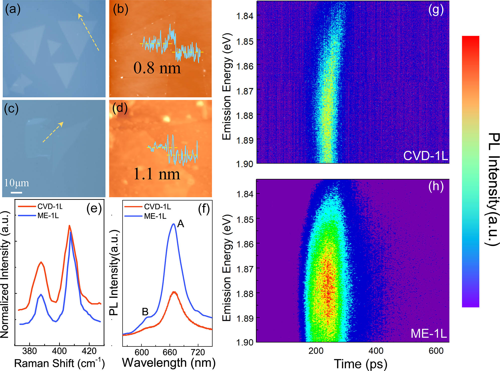 (a)–(d) Optical microscope and AFM characterization of both CVD and ME MoS2 monolayers. (e) Raman spectra imply that there are more defects in the CVD MoS2 monolayer than in the ME one. (f) Steady PL spectra were measured, and strong PL quenching was observed in the CVD monolayer. (g), (h) The PL lifetime of an exciton in CVD and ME monolayers was measured using a streak camera.