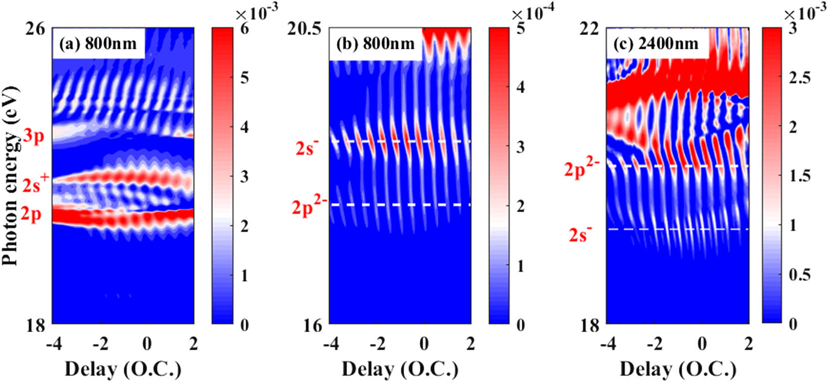 ATAS calculated for (a) 800 nm and (c) 2400 nm laser pulses with 3D-TDSE. For better observation, the region in (a) with the photon energy ranging from 16 to 20.5 eV is enlarged in (b). In (b) and (c), the absorption signals for 2s− and 2p2− are marked by white-dashed lines.