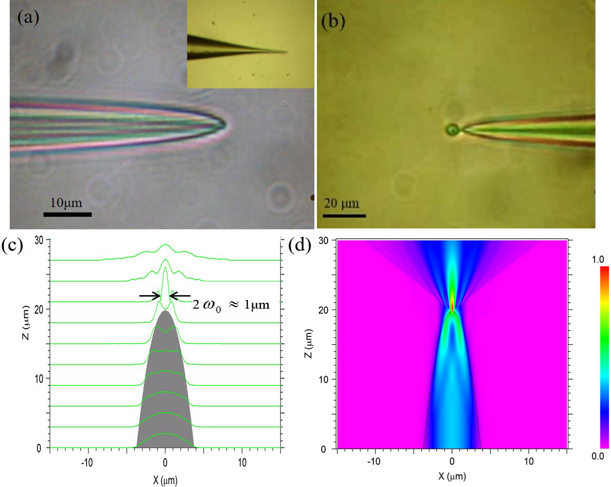 Optical fiber tip tweezers. (a) Parabola-like profile fiber tip; (b) a yeast cell trapped by fiber optical tweezers; (c) and (d) the intensity of the optical field emerging from the fiber tip[48].
