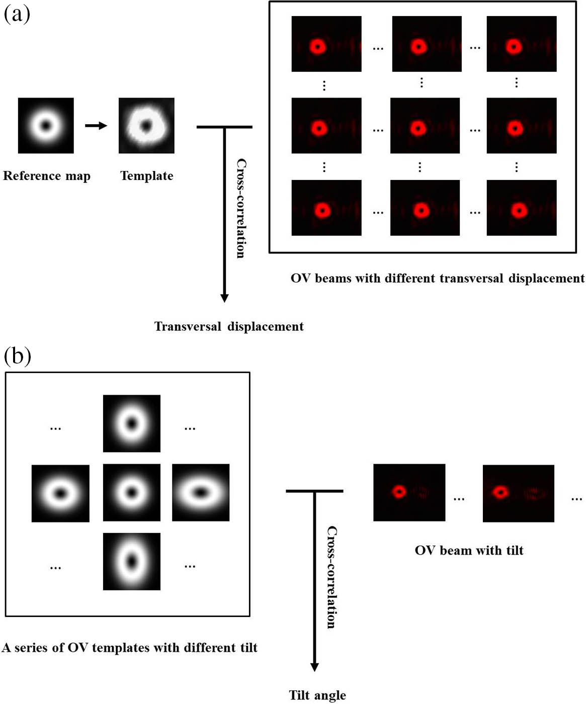 Flowcharts for measurement of misalignments of the OV beam. (a) Transversal displacements of various OV maps as captured by our experimental setup and measured using the cross-correlation algorithm. A template of an OV beam is obtained by performing a cross-correlation between a reference OV map simulated according to the experimental conditions and an OV map with no transversal displacement. (b) The tilt of the OV map can be determined by simulating a set of OV templates with set tilt angles and then cycling them with OV maps that have a tilt obtained using our method.