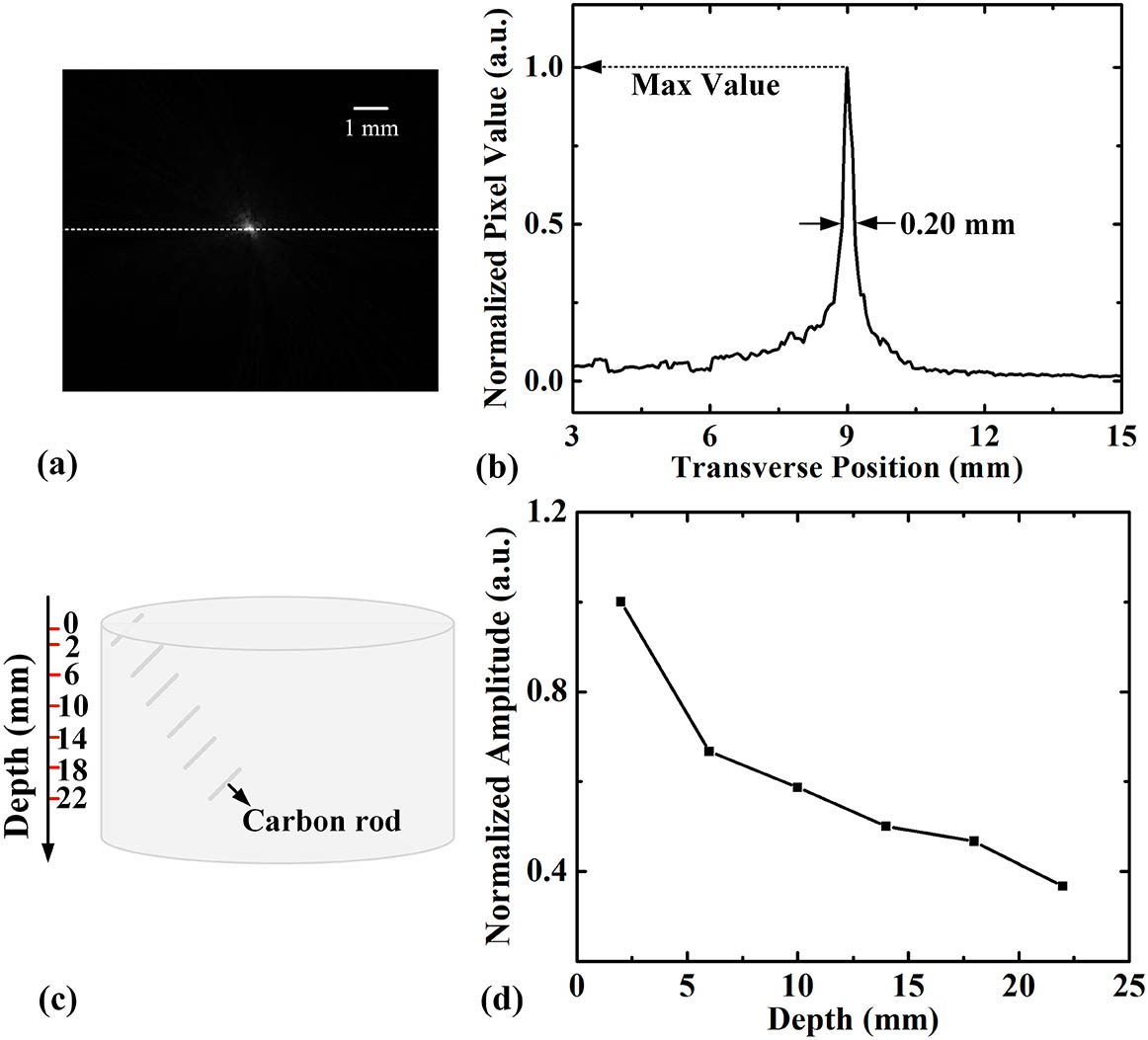 (a) Typical cross-sectional PA image of a black human hair. (b) Quantitative analysis of the imaged size of the human hair. (c) The schematic of the phantom. (d) Normalized amplitude of the PA signal of the absorber at different depths.