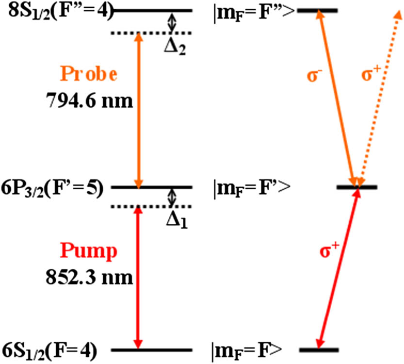 Energy level diagram of Cs 6S1/2−6P3/2−8S1/2 for two-color polarization spectroscopy: the circularly polarized 852.3 nm pump laser drives σ+ transitions and induces an anisotropy in the atomic medium, which is detected by a linearly polarized 794.6 nm probe laser between the excited state 6P3/2−8S1/2 transition.