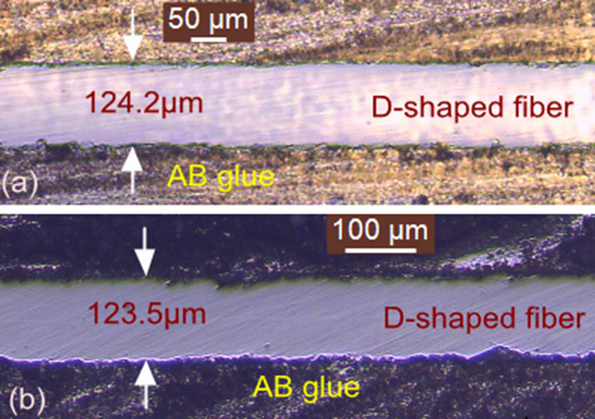 Images of the polished surface of D-shaped fibers (a) A and (b) B. The widths of the polished surfaces are dA=124.2 μm and dB=123.5 μm.