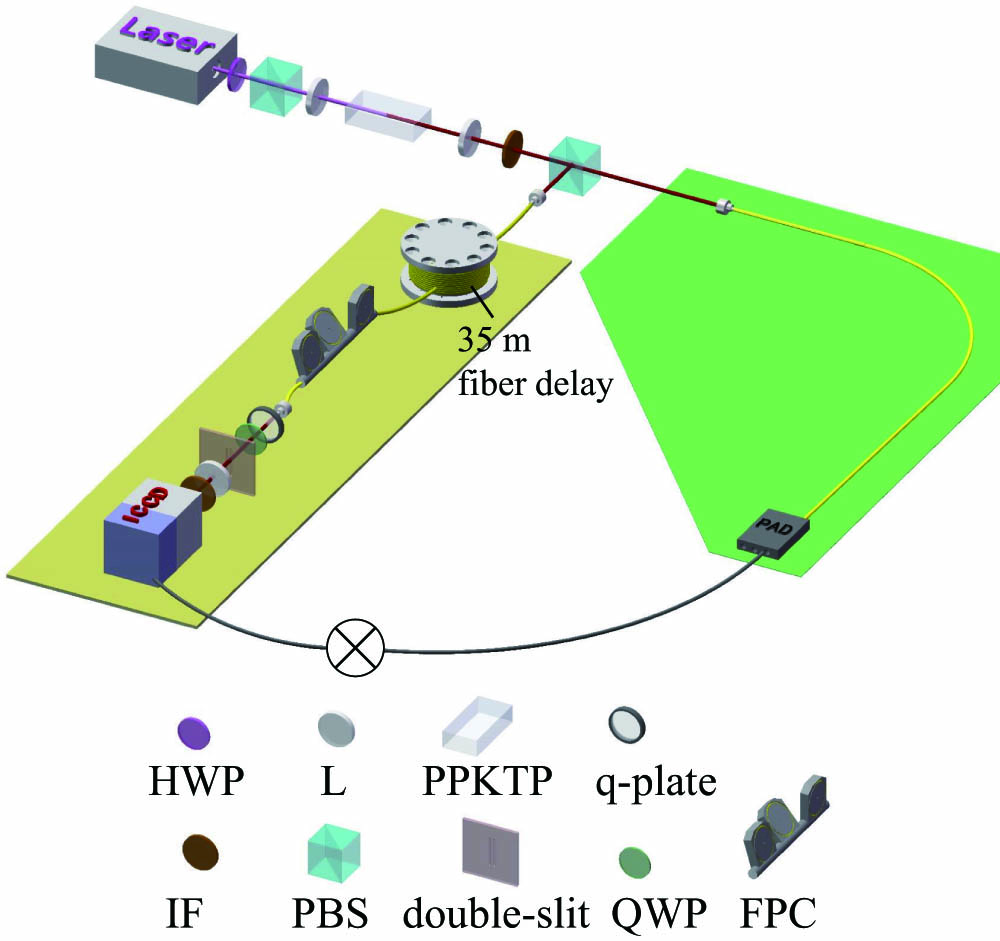 Schematic diagram of experimental setup. HWP, half-wave plate; PBS, polarization beam splitter; L, lens; PPKTP, periodically poled KTP; IF, interference filter; QWP, quarter wave plate; FPC, fiber polarization controller; PAD, photon avalanche detector.