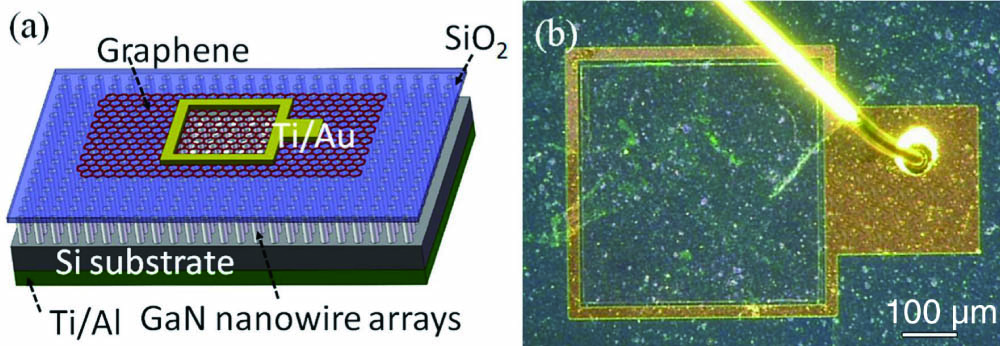 (a) Schematic diagram of the UV-IR dual-color detector based on GaN/graphene heterojunction; (b) optical microscopy image of the top of the fabricated device.