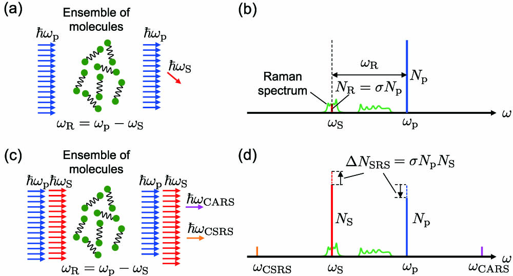Schematics and optical spectra of (a), (b) spontaneous Raman scattering and (c), (d) CRS. Adapted and modified from Ref. [3].