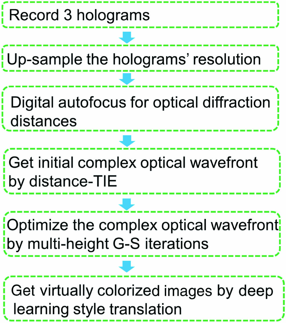 Computational algorithm flowchart to get a virtually colorized lens-free on-chip microscopy image.