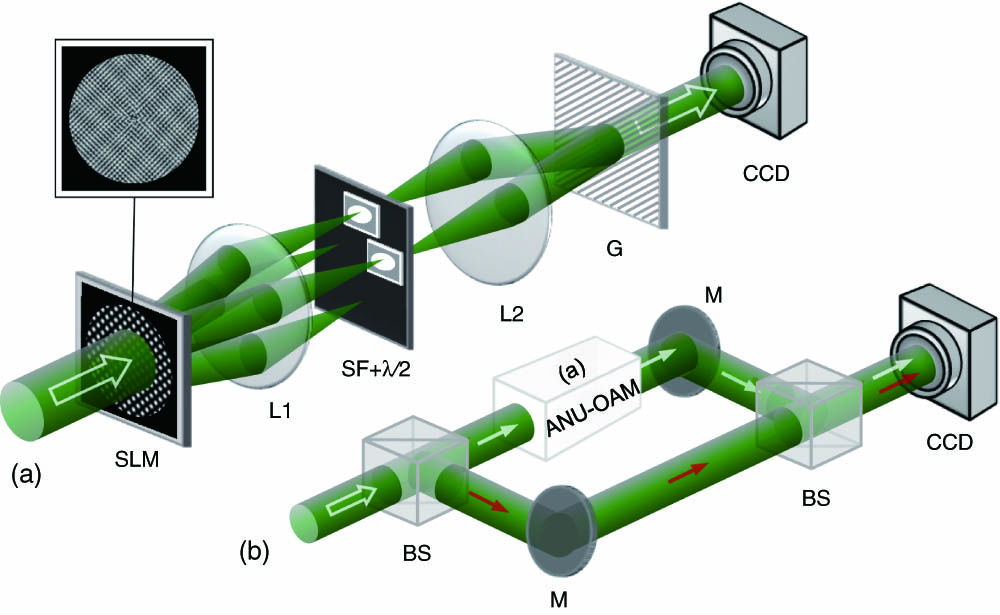 Schematic of the experimental setup for generating and measuring the desired VOFs carrying ANU-OAM. (a) The generating setup. SLM, spatial light modulator; L1 (f=300 mm) and L2 (f=200 mm), a pair of lenses; λ/4, quarter-wave plate; SF, spatial filter; G, Ronchi phase grating; CCD, charge-coupled device; inset, two-dimensional holographic grating. (b) The interference setup. BS, beam splitter; M, mirror. The white cuboid in (b) represents the setup in (a).
