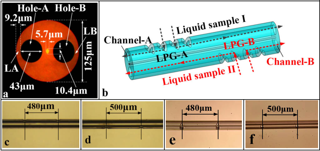 (a) Profile image of the SHF. (b) Schematic diagram of the dual-channel sensor based on dual LPFGs. (c) Side view of LPG-A. (d) Side view of LPG-B. (e) Top view of LPG-A. (f) Top view of LPG-B.