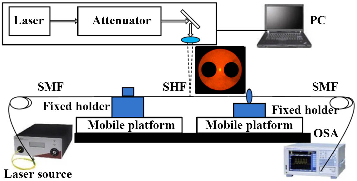 Schematic diagram of the experimental setup for dual-LPG sensor fabrication.