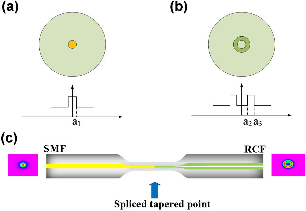 Schematic diagram of fiber structure and refractive index profile for (a) single-mode fiber (SMF) and (b) ring-core fiber (RCF); (c) schematic diagram of fusion splicing and tapering scheme for exciting the LP01 mode in the RCF with high efficiency.