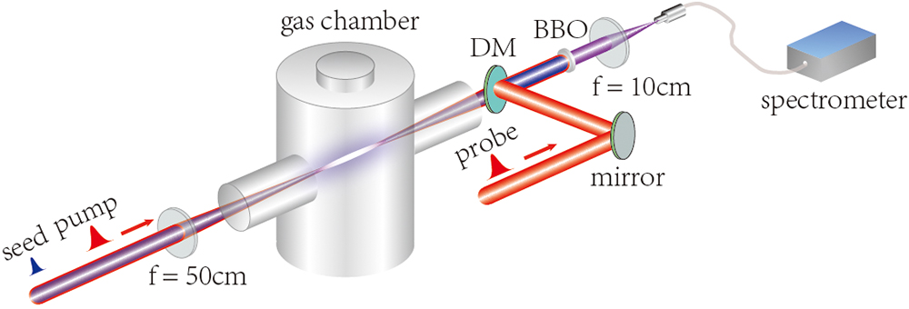 Schematic experimental setup. Beam splitters (not shown) separated the laser pulses into three pulses, denoted as the pump, seed, and probe. The forward 353.8 nm radiation was recombined with the probe pulse by a dichroic mirror (DM).