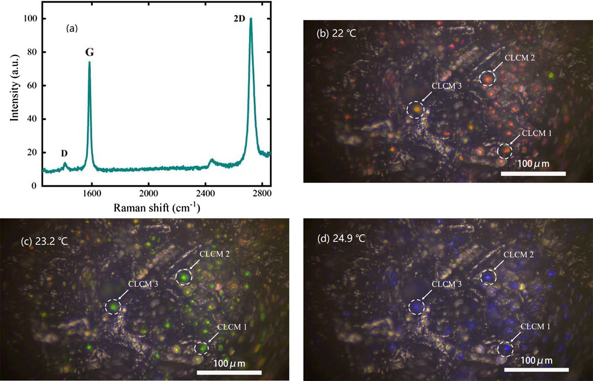 Characteristics of graphene and CLCMs: (a) Raman spectrum of 3D graphene; (b)–(d) microscopic images of 3D porous graphene with CLCMs at 22, 23.2, and 24.9°C, respectively.