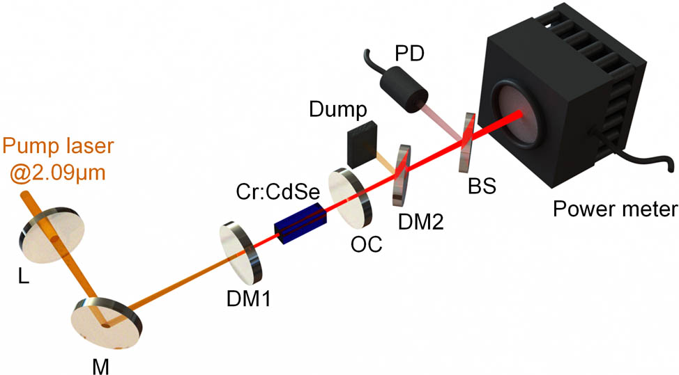 Schematic diagram of the gain-switched Cr2+:CdSe laser. L: plano-convex lens; DM: dichroic mirror; OC: output coupler; BS: beam splitter; PD: photodetector.