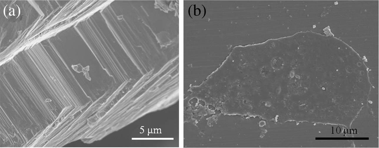 SEM images of (a) the bulk tellurium crystal and (b) the exfoliated tellurene nanosheet.