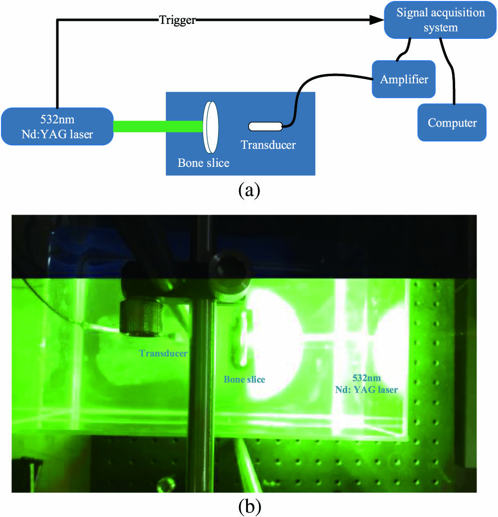 (a) Schematic diagram of the experimental setup. (b) The image of actual experimental installation.