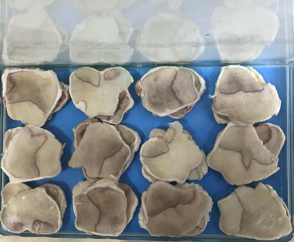 Step of soaking swine slices into EDTA solution to imitate the process of bone loss.