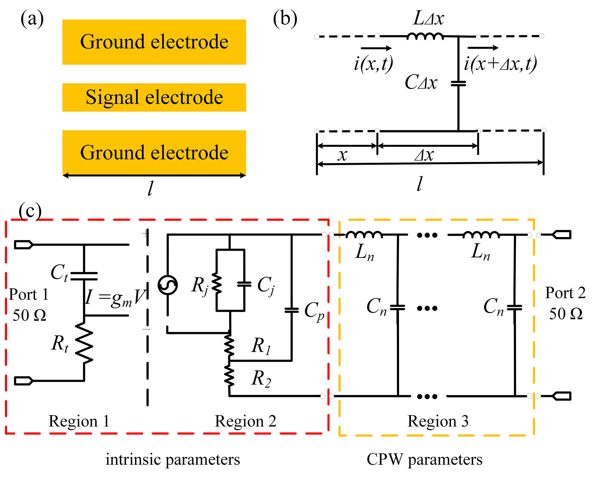 (a) Schematic diagram and (b) equivalent circuit model of the CPW. (c) The equivalent circuit model of the PD. Region 1 represents the transit time parameters, Region 2 represents the bulk and parasitic parameters of the PD, and Region 3 represents the n-section distributed parameter model of the CPW. The box on the left represents the intrinsic bandwidth parameters.