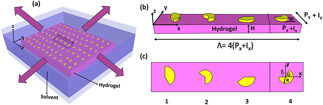 Design of the meta-atoms on the freestanding hydrogel dipped in solvent. (a) The meta-atoms consist of gold sector resonators patterned on the surface of the freestanding hydrogel. The arrows indicate the swelling in solvent in the x and y directions. (b) The supercell. H and h are the height of the hydrogel and sector resonator, respectively. Px=Py is the periodicity of the unit cell. Ix and Iy are the increment of the period in the x and y directions, respectively. Λ is the total size of the supercell in the x direction. The rightmost cell depicts the basic building block. (c) The top view of the optimized four resonators. The α and β are the opening angles, and R is the radius of the sector resonator.