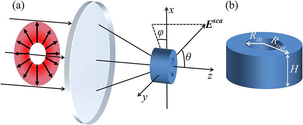 (a) Schematic diagram of light scattering from a silicon hollow nanodisk illuminated by a focused RP beam. (b) Geometry of the hollow nanodisk.