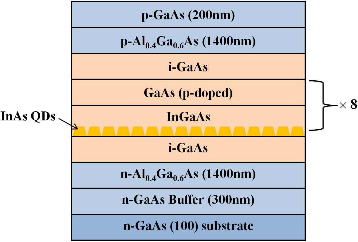 Schematic diagram of the InAs/GaAs QD lasers.
