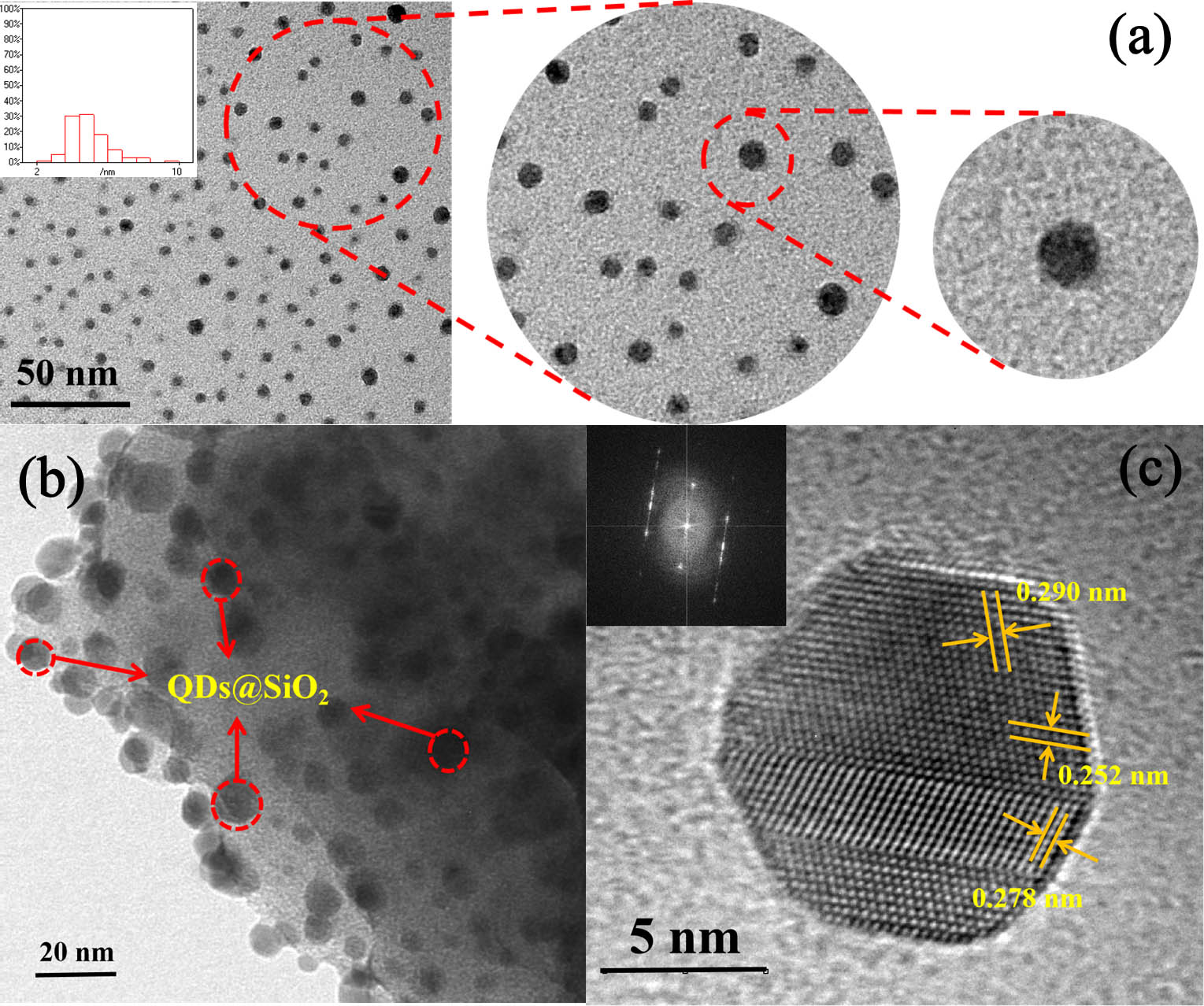 TEM images of QDs@SiO2 at different resolutions. Inset of (a) is the size distributions of the QDs@SiO2 nanospheres. Inset of (c) is the corresponding SAED image.