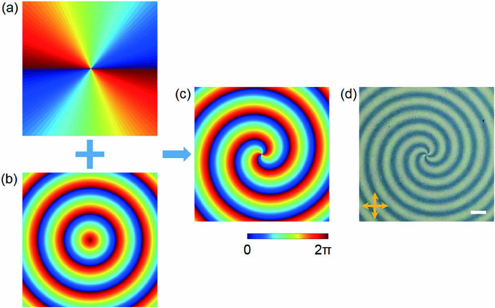 Normalized phase diagrams of (a) a vortex plate with m=2, (b) a circular grating with Λ=1728 μm, and (c) their integration. (d) Photo of the fabricated LC sample under crossed polarizers (indicated by two orange arrows). Scale bar: 1 mm.