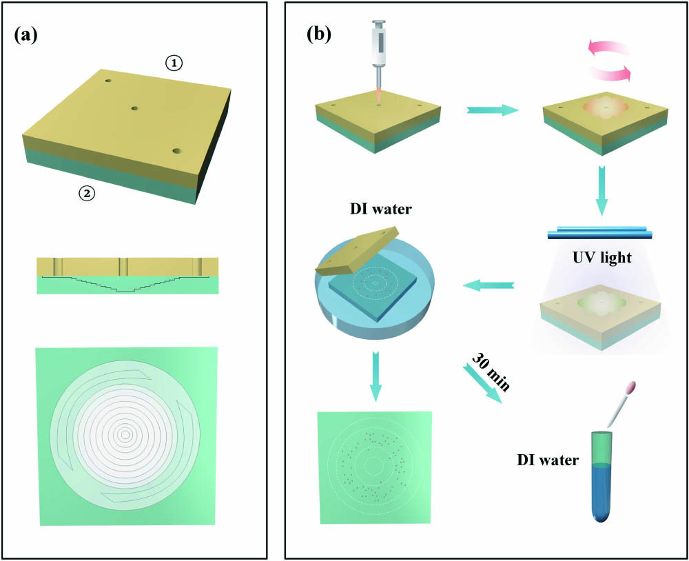 (a) Structure diagram of centrifugal microfluidic chip. (b) Schematic fabrication process of PCLC microdisk.