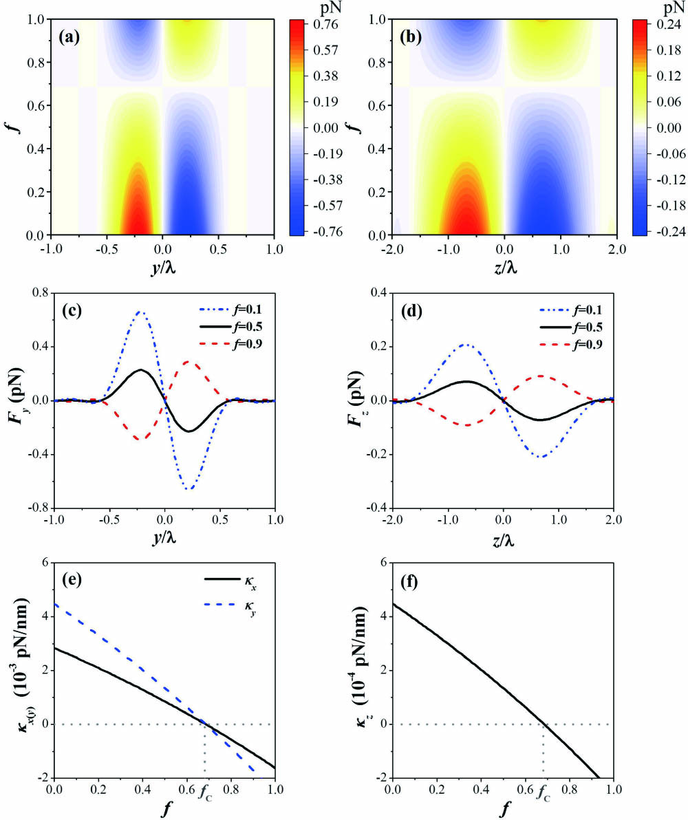 Forces and trapping stiffness of the hollow-core particle in absence of optical nonlinearity (χ3s=0) with different volume fractions f. (a) Transverse force distributions on the y axis (x=z=0) and (b) longitudinal force distributions on the z axis (x=y=0) with different values of f. (c) Transverse force profiles on the y axis and (d) longitudinal force profiles on the z axis at three typical values of f. (e) Transverse and (f) longitudinal trapping stiffnesses as functions of f. The gray dotted lines in (e) and (f) are a guide for the eyes.