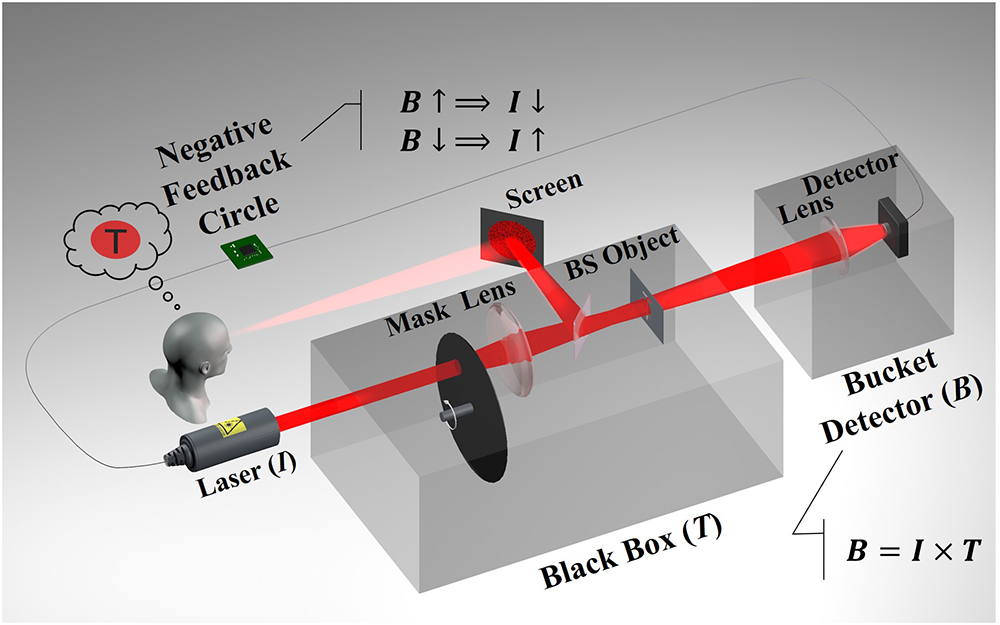 Schematic diagram of the naked-eye ghost imaging system, including a laser device (I), block box (T), bucket detector (B), feedback loop, and naked-eye imaging. The block box with a transmissivity Ti is comprised of a mask, a lens, a BS, and an object.