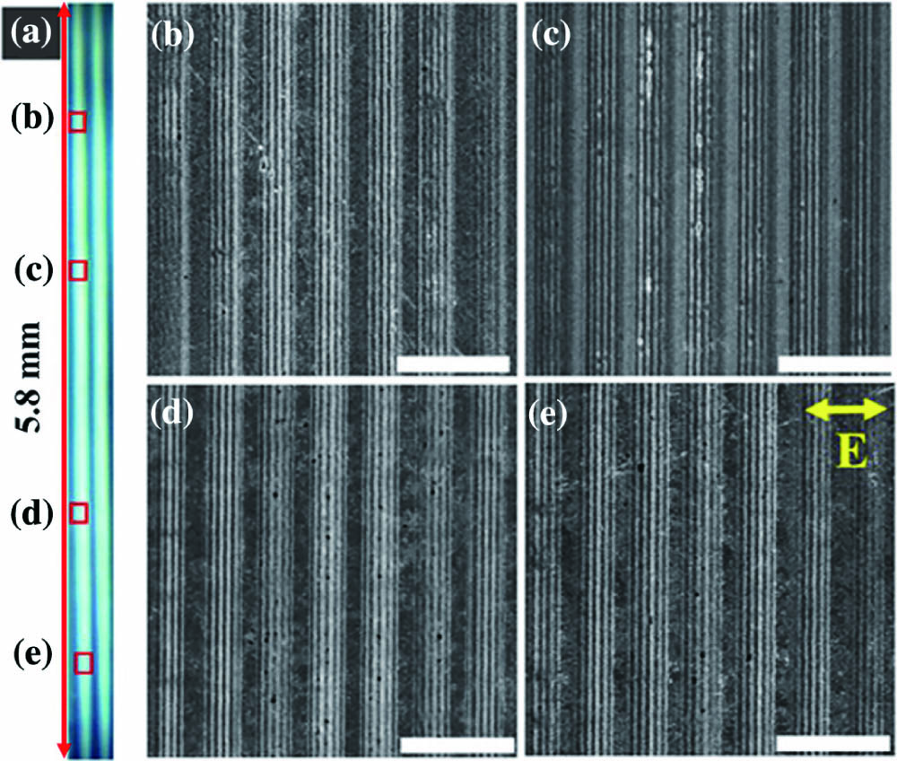 Microstructures in the ablation area after radiation of three laser pulses. (b)–(e) Enlarged SEM pictures of the areas in squares in (a). The double arrow in (e) represents laser polarization. Laser fluence of single beam is 1.3 J/cm2, and the scale bars are 5 μm.