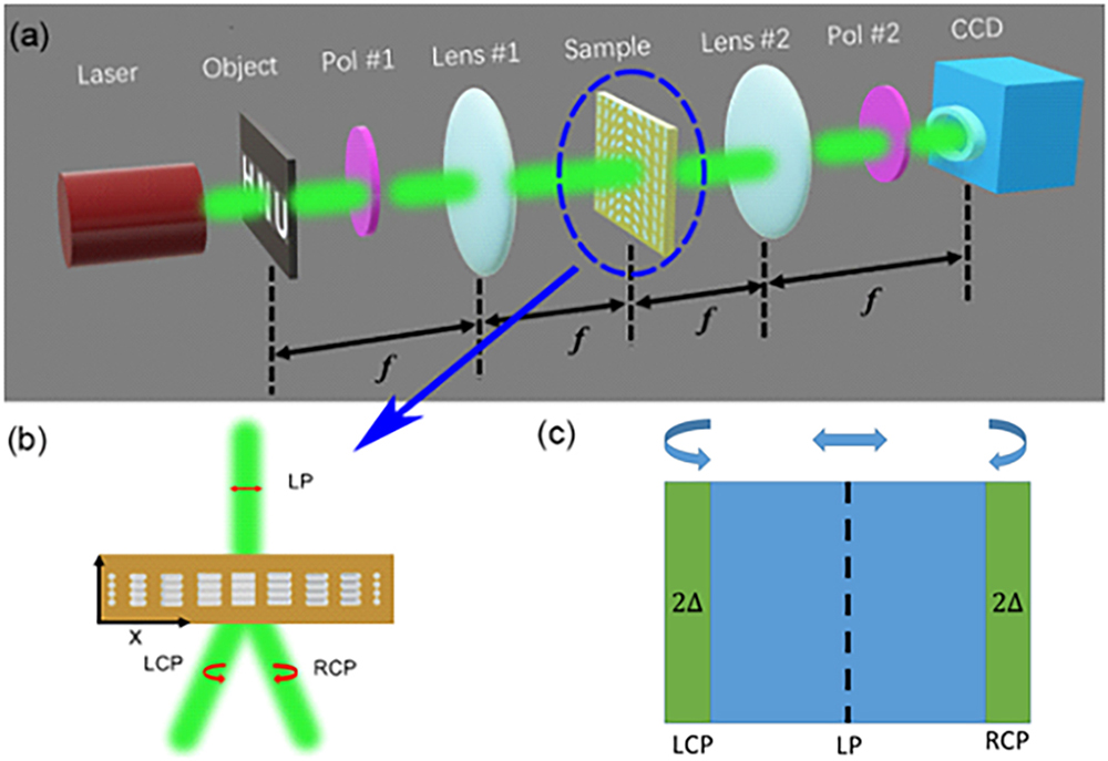(a) Experiment setup: 4f optical system. (b) The orientation of liquid crystal molecules in the grating films and their modulation of light. (c) Illustration of polarization dependency of PG.
