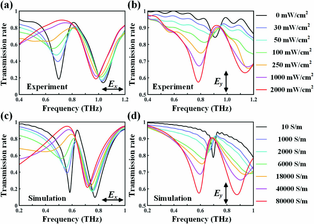 Polarization-dependent modulation of PIT effects in two perpendicular THz polarization directions, with a time delay of 40 ps. Experimentally measured transmission rates of THz waves for (a) x polarization and (b) y polarization of metaphotonic devices, pumped by a series of pumping powers (shown as labels). The numerically simulated transmission rates of THz waves for (c) x polarization and (b) y polarization of metaphotonic devices, with conductivity of Si island varying corresponding to the experimental measurement (shown as labels).