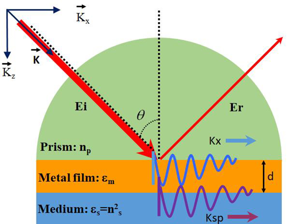 SPR excitation by prism coupling using the Kretschmann configuration.