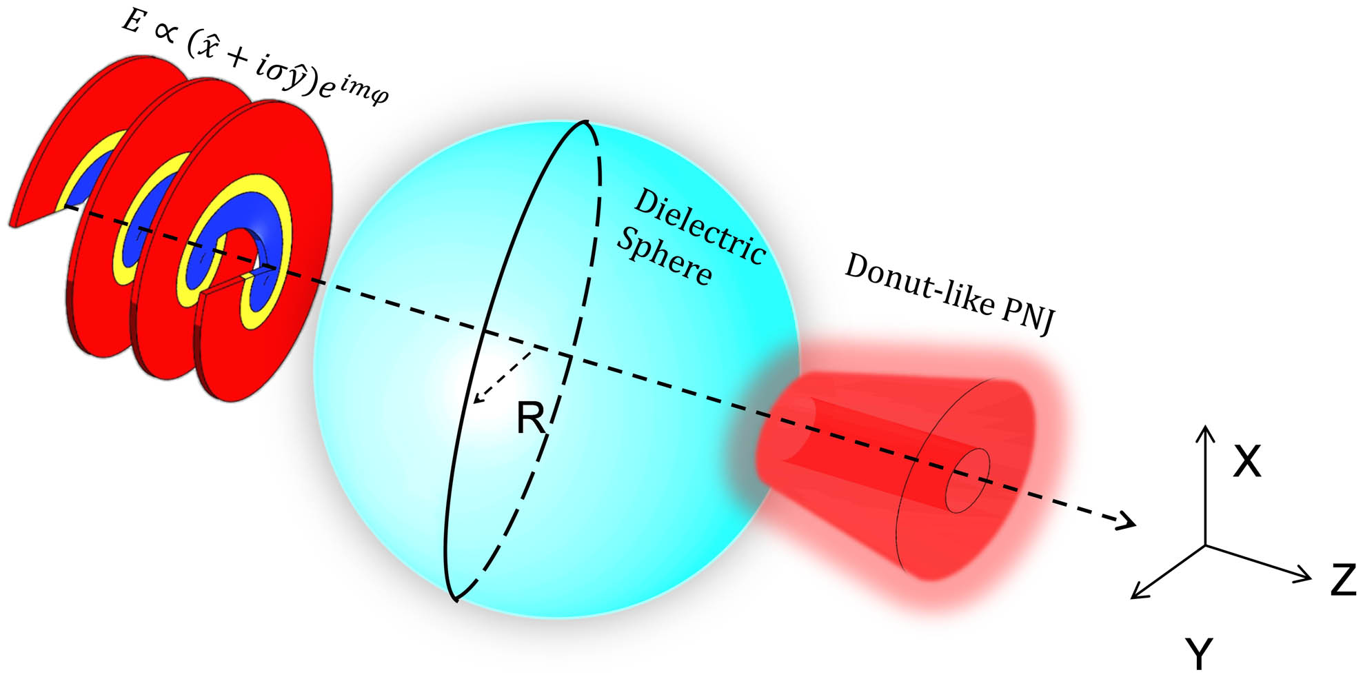 Schematic of the generation of a donut-like photonic nanojet (PNJ). Incident light has circular polarization σ and topological charge m.