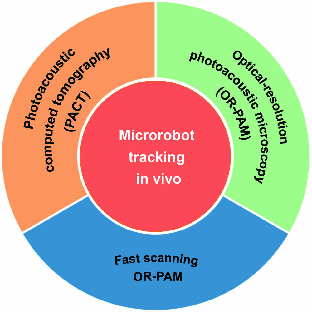 Schematic summary of microrobots tracking in vivo based on PAI.