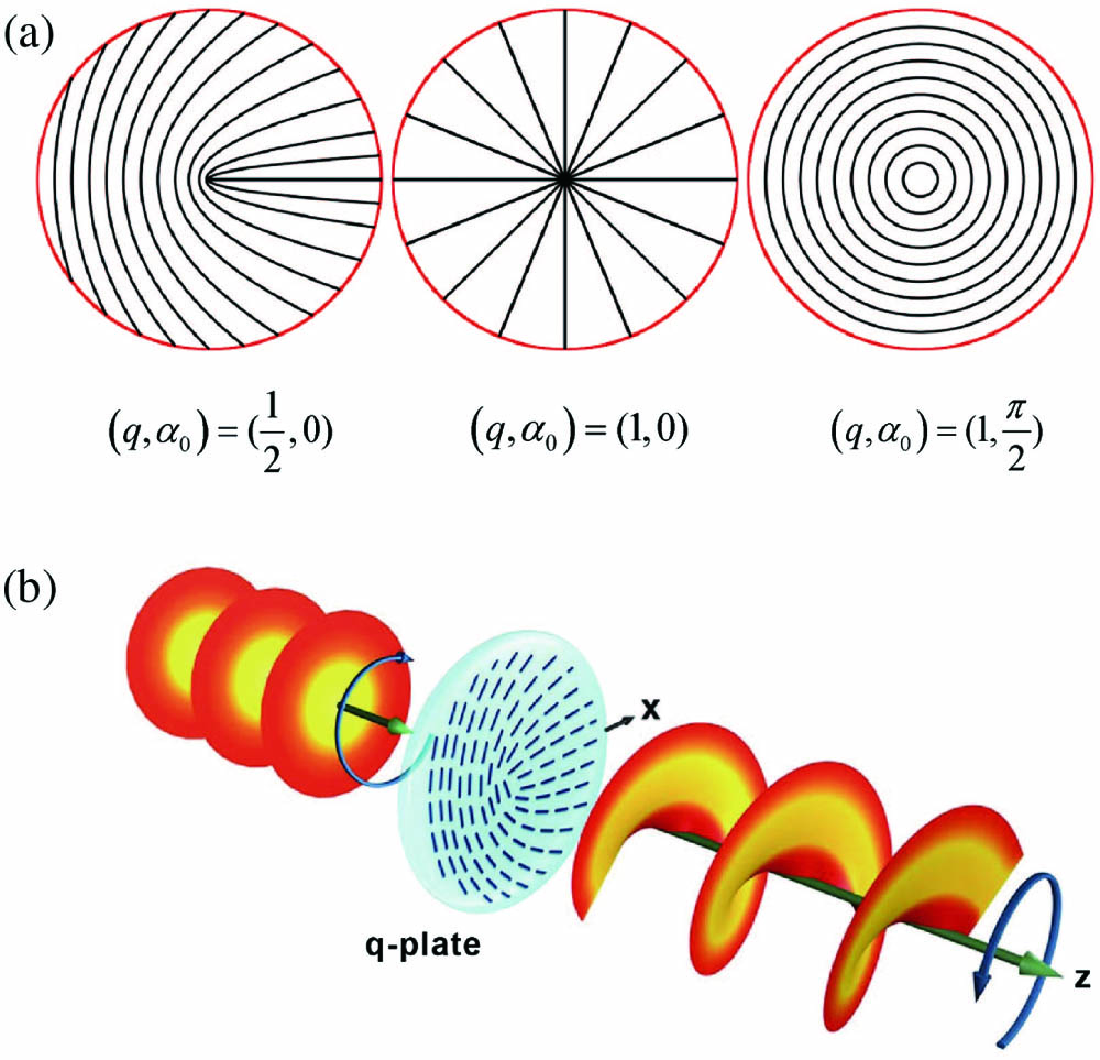 (a) Three examples of q-plate patterns with α0 being the initial optical axis orientation, reprinted with permission from Ref. [32], Copyright (2021) by the American Physical Society. (b) Illustration of the optical action of a q-plate with q = 0.5 on left circularly polarized light beam[33].