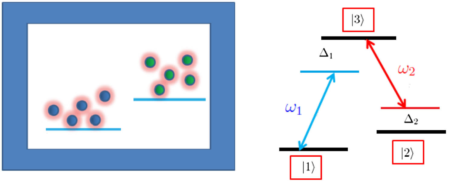 Three-level atoms are in a Λ configuration, and the classical radiation fields have two different frequencies (right panel). Experimentally, such atomic systems consist of a binary mixture of BEC atoms, which are distributed in two hyperfine states and are transferred between them by the action of radiation fields[18] (left panel).