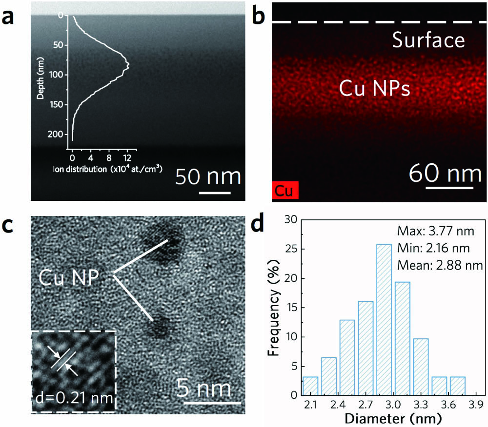 (a) TEM image of the sample and projection distribution of implanted Cu+ ions. (b) Cu element distribution mapping. (c) HRTEM image. (d) Diameter distribution of NPs.