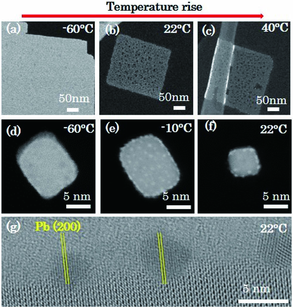 HAADF-STEM images demonstrating the Pb nanoparticle formation on CsPbBr3 nanocrystals induced by 200 keV electron irradiation at increasing temperature: (a)–(c) 3 nm thick nanosheet and (d)–(f) nanocubes of edge size of 20 nm. (g) HRTEM image of CsPbBr3 nanosheet showing the atomic details of the Pb nanoparticles.