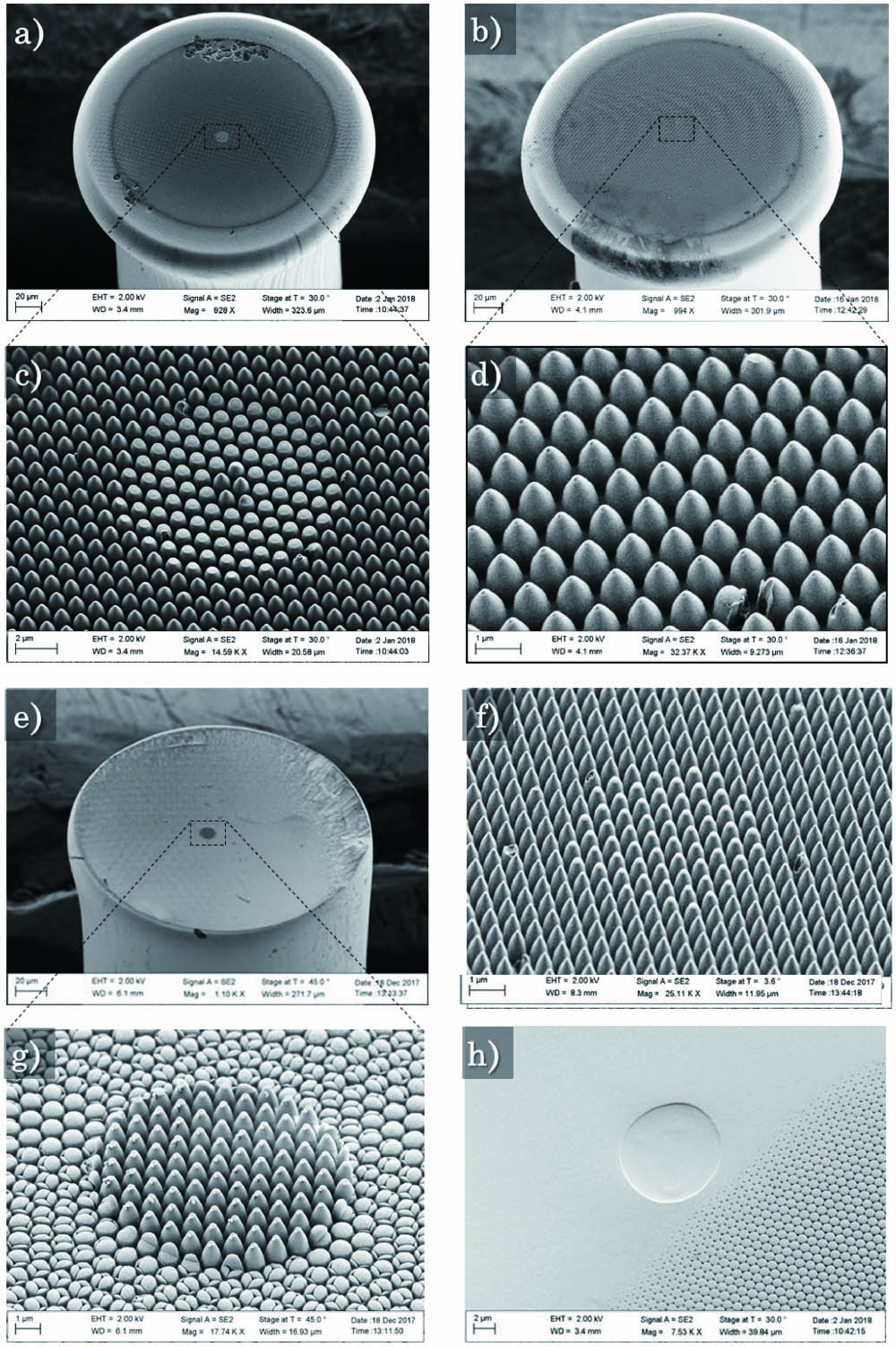 SEM images of imprinted (a), (c), (h) IRF-Se-12, (b), (d) IRF-Se-100, (e), (g) NOTT-11, and (f) IRF-SeG-12 optical fibers.