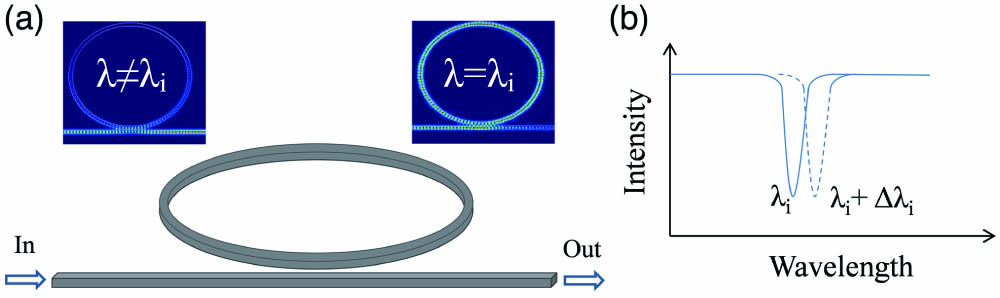(a) Schematic diagram representation of a ring resonator (top images: propagated light field of non-resonant λ≠λi and resonant condition λ=λi); (b) resonant spectrum of a ring modulator: the resonant peak λi will have a shift Δλi under the applied voltage.