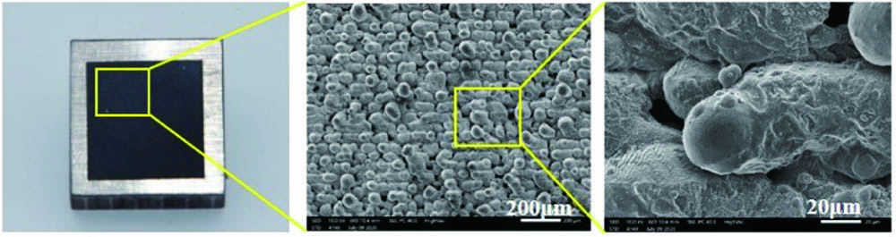 Images of micro/nano structures fabricated by the fs laser at the focal plane. The laser power and scanning speed were 20 W and 50 mm/s, respectively.